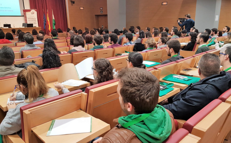 Un total de 600 fisioterapeutas participaron en un evento simultáneo en cuatro provincias andaluzas