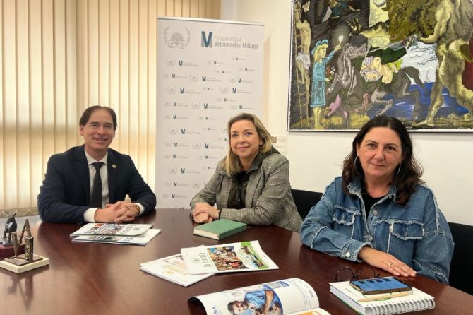 Primer contacto con la Asociación Española contra el Cáncer de Málaga para crear sinergias colaborativas