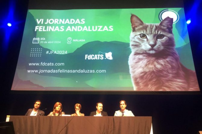El Colegio de Veterinarios colabora ​​en las Jornadas Felinas Andaluzas