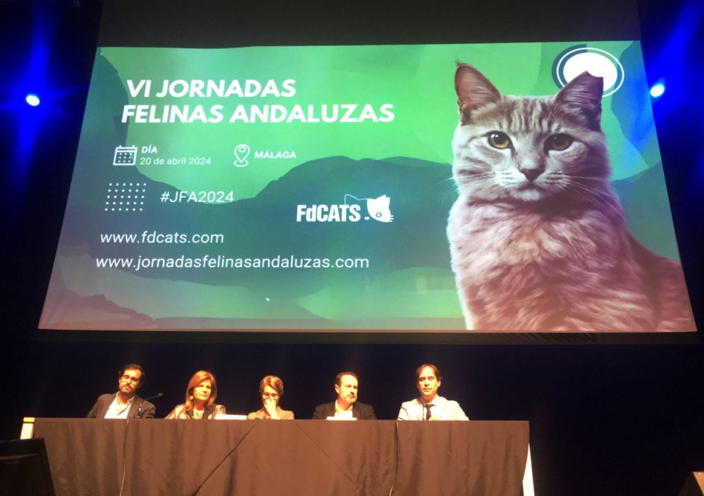 El Colegio de Veterinarios colabora ​​en las Jornadas Felinas Andaluzas